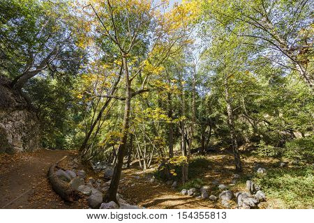 Beautiful Fall Color Of Switzer Falls Trail
