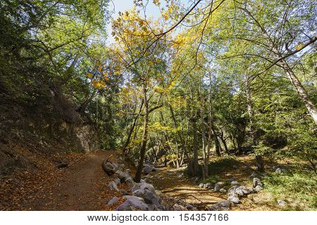 Beautiful Fall Color Of Switzer Falls Trail