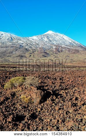Desert Landscape In Volcan Teide National Park