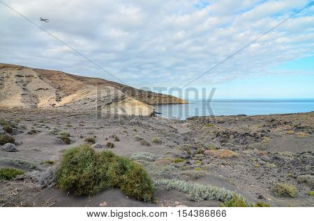 Volcanic Rock Basaltic Formation In Gran Canaria