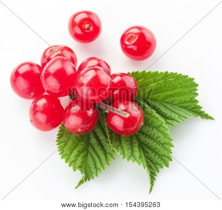 Nanking or felted cherry ftuits with leaves isolated on a white background.