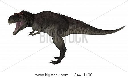 Tyrannotitan roaring isolated in white background - 3D render
