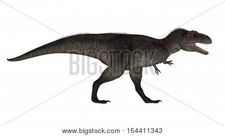 Tyrannotitan walking isolated in white background - 3D render