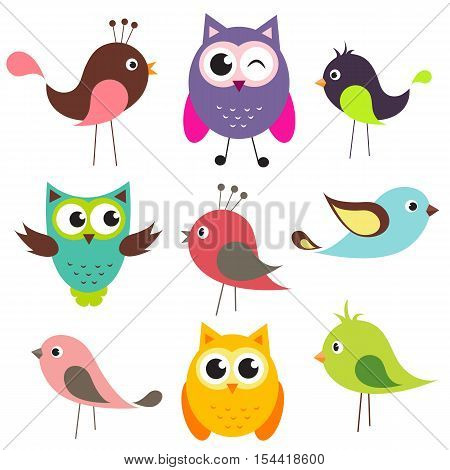 vector set of cute birds isolated on white