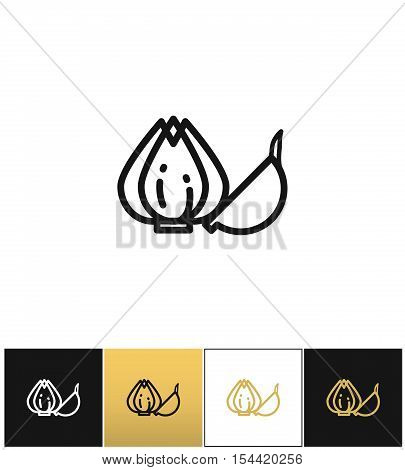 Garlic bulb or allium plant vector icon. Garlic bulb or allium plant pictograph on black, white and gold backgrounds
