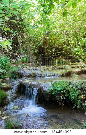 Small waterfall in a forest stream Amud in the north of Israel