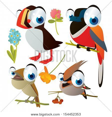 vector cute colorful cartoon isolated birds and flowers illustrations collection: puffin, nightingale, waxwing, bird of paradise