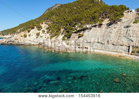 Azure Bay. Azure bay with crystal clear water through which can be seen the rocky bottom On top of the mountain covered with pines is an observation deck from which is paved descent to the beach.