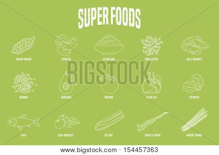 Selection of superfoods products, berries, green in vector. Thin line icons, design elements of cocoa beans, wheatgrass, acai seeds, spirulina, quinoa for super food alternative medicine concept