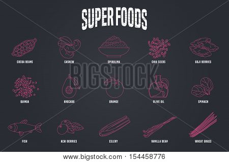 Set of superfoods products, berries, roots in vector. Icons, design elements, illustrations of cacao beans, goji berry, spirulina, wheatgrass, spinach for super food vegetarian eating concept