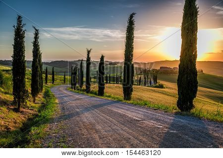 Sunset And Winding Road With Cypresses In Tuscany