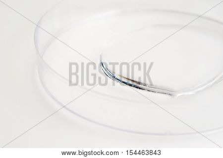 Vitamin B5 clear viscous water soluble natural chemical extract (Specifically called Pantothenic acid or Vitamin B5) for cosmetic ingredient