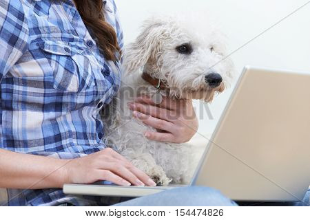 Dog Sitting Next To Owner Using Laptop
