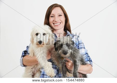 Studio Shot Of Woman With Two Pet Lurcher Dogs