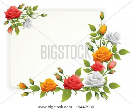 marco con rosas