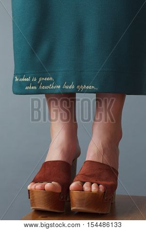 Closeup Of Elegant Young Women's Feet