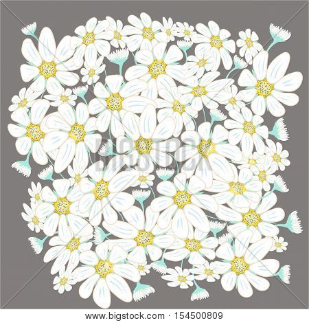 floral vector illustration includes chamomiles for your design