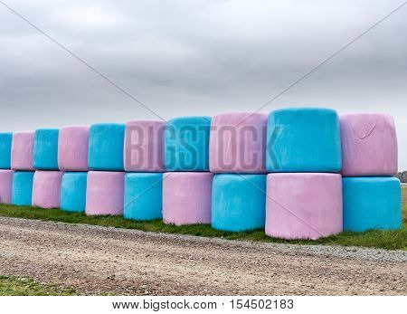 Large bales of hay ensilage in pink and blue wrapping.