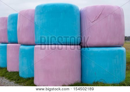Large bales of hay ensilage in pink and blue wrapping.