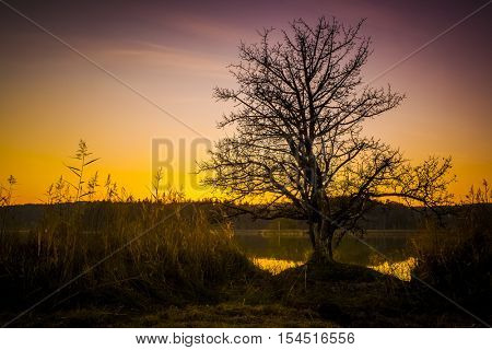 An image of a sunset at Osterseen Lake near Iffeldorf Bavaria Germany