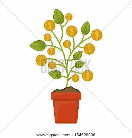 money plant in a pot with gold coins over white background. vector illustration