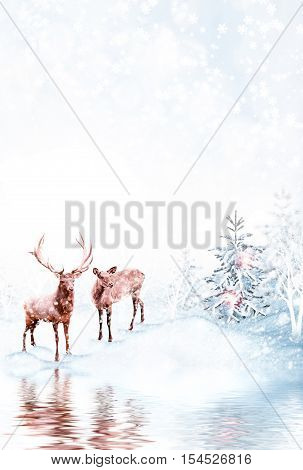 forest in the frost. Winter landscape. Snow covered trees. deer