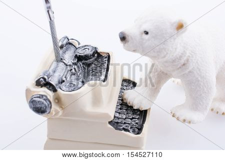 Polar Bear Cub In On The Typewriter