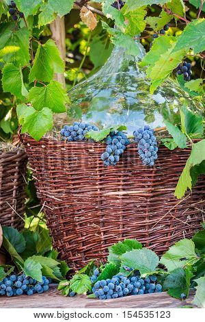 Demijohn In A Wicker Basket And Dark Grapes