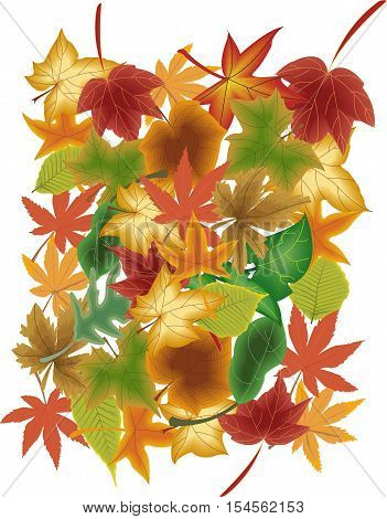 graph of dead leaves of many colors