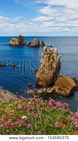 Arnia Beach Coastline Landscape.