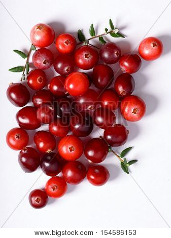 Wild Cranberries On Plain White Backdrop, Top View