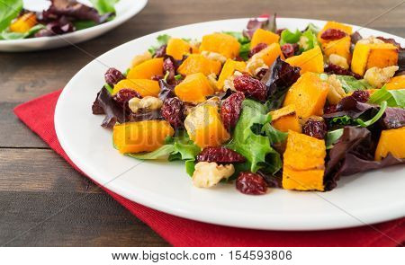Autumn salad with roasted butternut squash cranberry and walnuts on white plate selective focus horizontal
