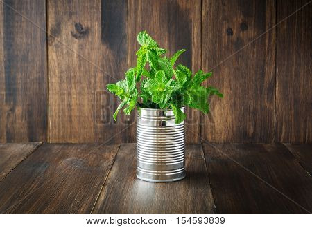 Bunch of fresh mint in tin can on wooden background selective focus toned horizontal