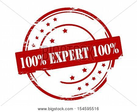Rubber stamp with text one hundred percent expert inside vector illustration