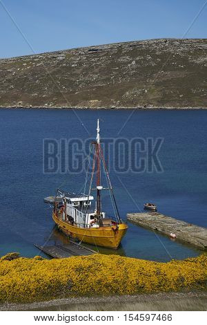 WEST POINT ISLAND, FALKLAND ISLANDS - OCTOBER 23, 2016: Converted trawler tied up on the jetty at the West Point Settlement on West Point Island in the Falkland Islands