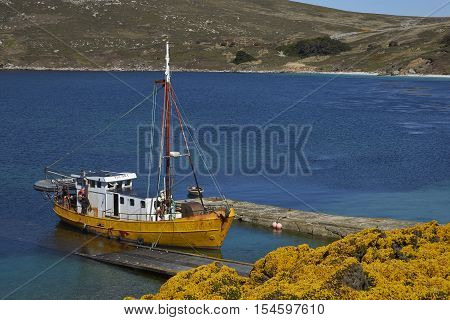 WEST POINT ISLAND, FALKLAND ISLANDS - OCTOBER 23, 2016: Converted trawler tied up on the jetty at the West Point Settlement on West Point Island in the Falkland Islands