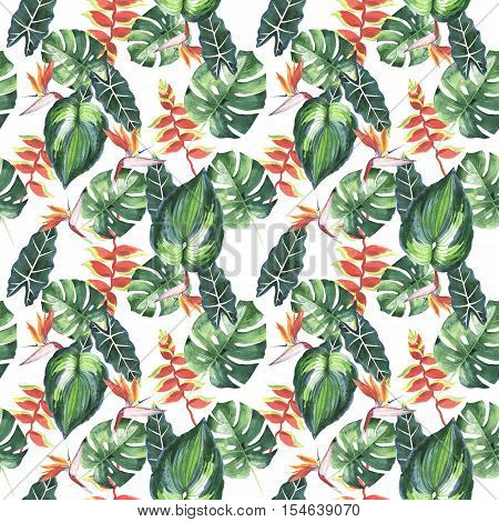 Tropical Hawaii leaves palm tree pattern in a watercolor style isolated. Aquarelle wild flower for background, texture, wrapper pattern, frame or border.