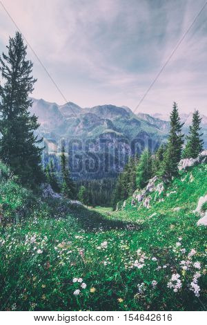 Beautiful view from top of cableway above the Konigsee lake on Schneibstein mountain ridge. Border of German and Austrian Alps, Europe. Toned like Instagram filter