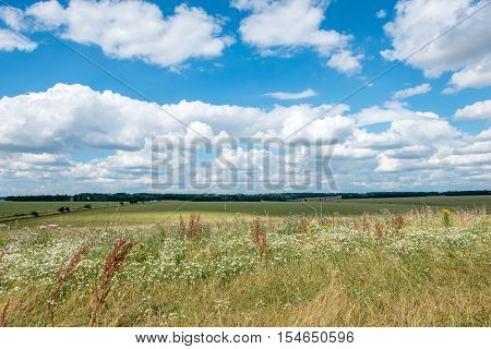 Grass Field With Blue Sky. Rural Landscape