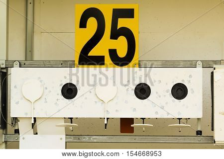 Biathlon . Target sports shooting .Biathlon .