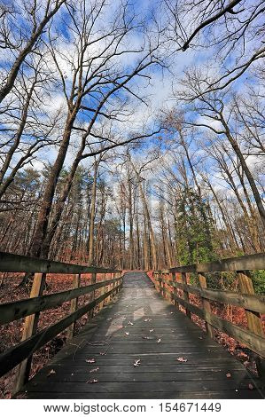 Wooden walking bridge in a forest in the Appalachian mountains during Autumn with fall colors