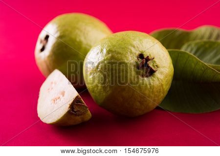 Guava fruit or Amrood or Amrud or peru isolated, selective focus