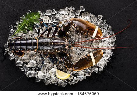 Raw lobster on ice on a black stone table top view