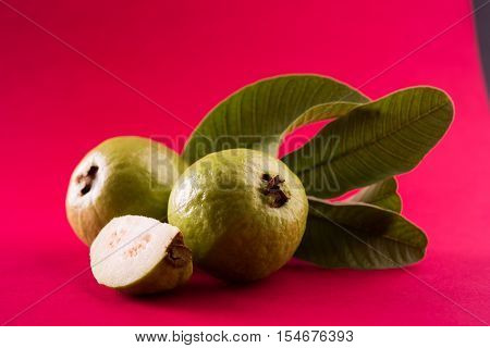 Guava fruit or Amrood or Amrud or peru isolated, selective focus