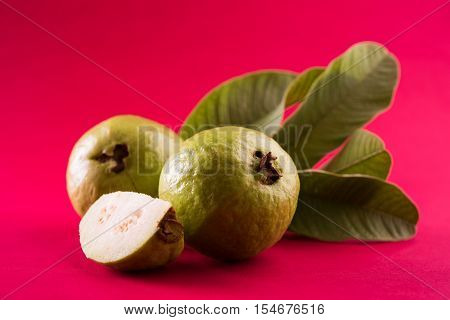 Guava fruit or Amrood or Amrud or peru isolated, selective focus