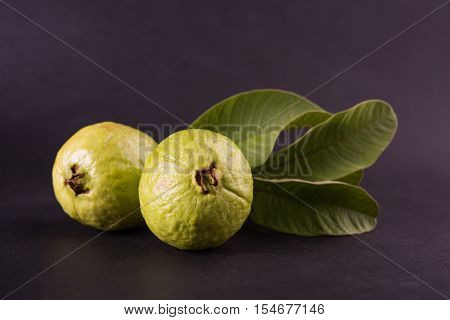 Guava fruit or Amrood or Amrud or peru isolated, selective focus
