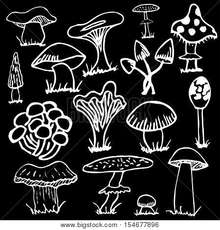 Set of white silhouettes of cute cartoon mushrooms isolated on black background.