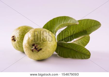 Guava fruit or Amrood or Amrud or peru isolated, selective focus