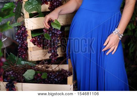 Woman in blue dress poses with grape vines in studio, noface