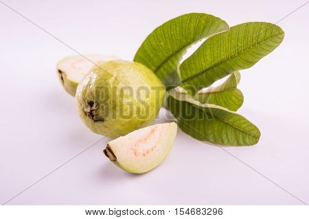 Guava fruit or Amrood or Amrud or peru isolated, selective focus